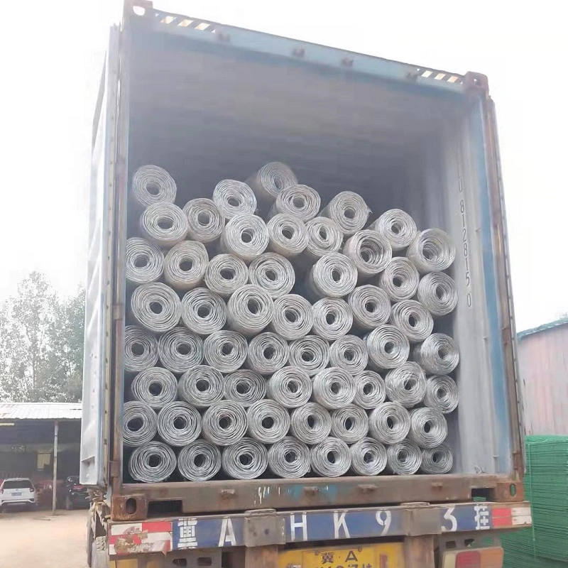 Coated Galvanized Welded Wire Mesh Roll