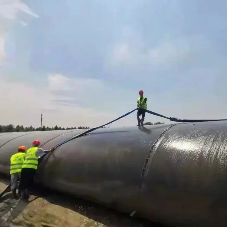 Filtration Geotube mit verschiedenen Funktionen der separaten Filter schützen Oder ablassen