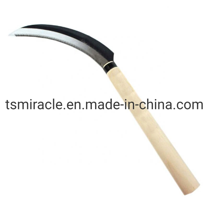 Vente à chaud Outils à main avec manche en bois couteaux à cane acier Faucille à dents d'herbe 34 cm avec faucille agricole à poignée en bois