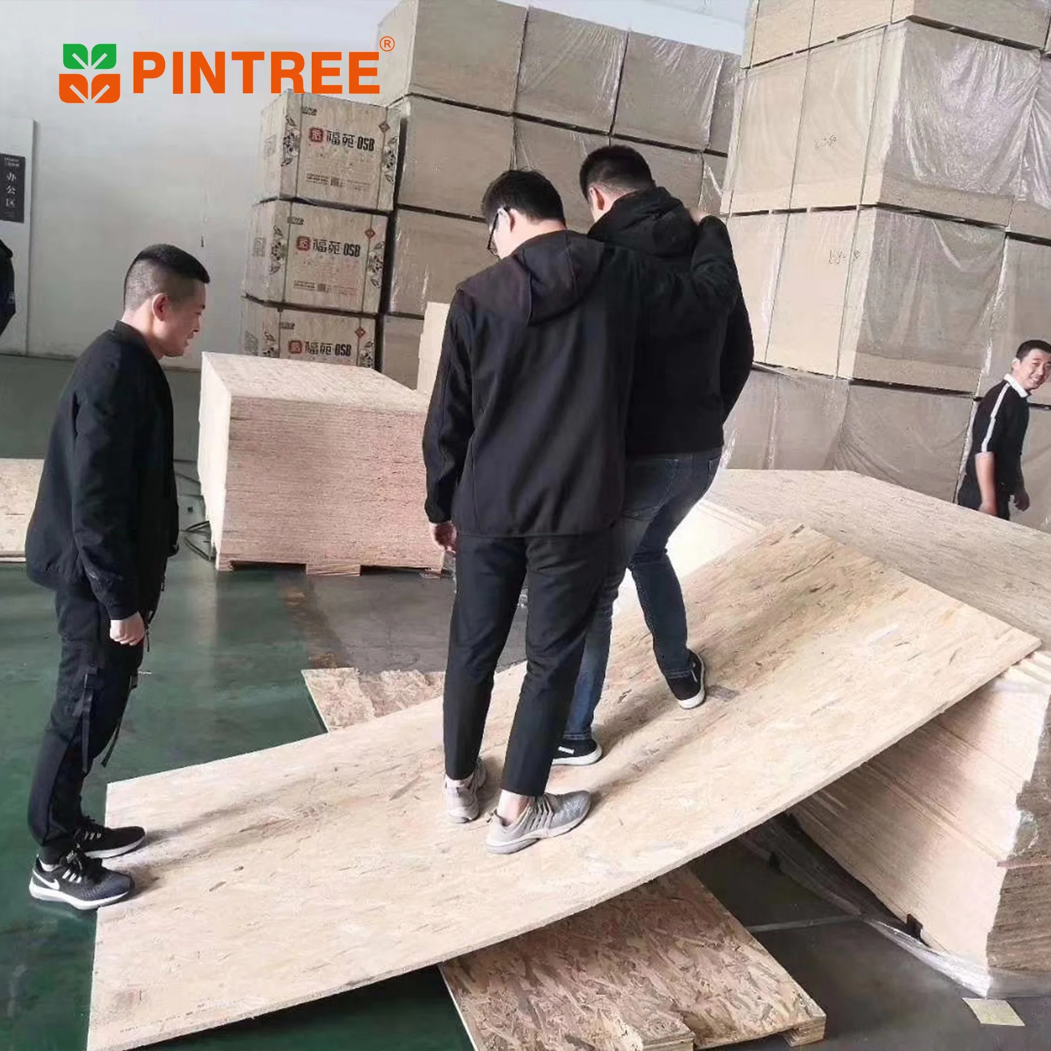 OSB2 OSB 3 9mm 11mm 12mm Structural WBP Plain Raw Pine Poplar Waterproof Mr Mdi Glue OSB for Furniture