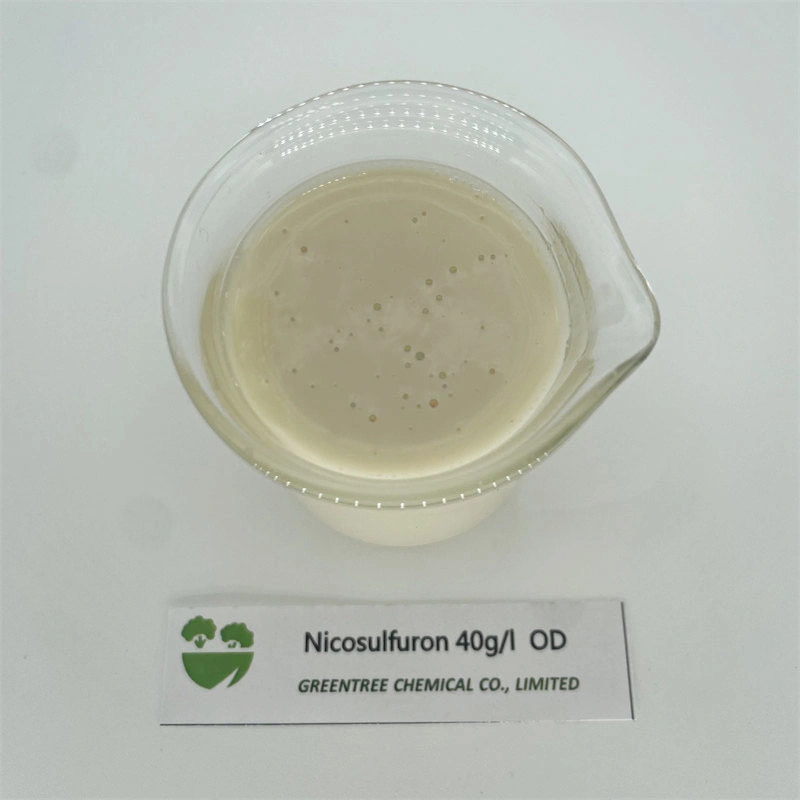 CAS 111991-09-4 Agrochemicals Herbicide Nicosulfuron 40 G/L Od