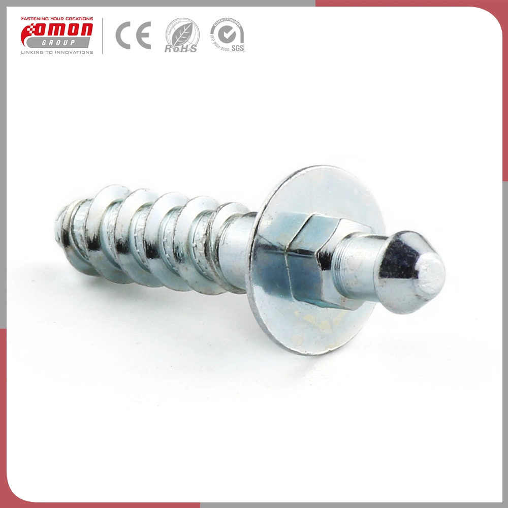 Common Round Head Screw Stud Hex Head Bolt for Chemical Industry