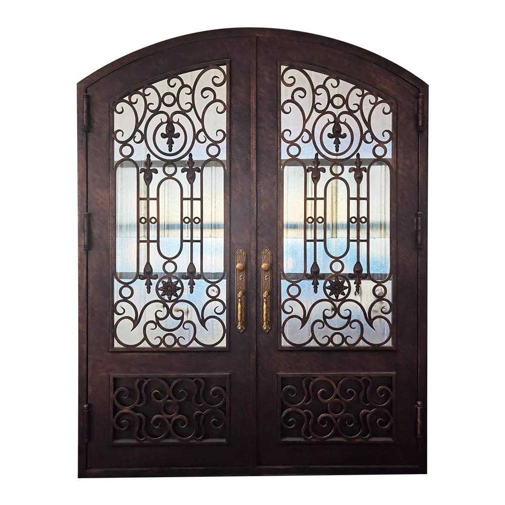 Modern OEM Design Double Luxury Front Exteior Steel Other Door for Home