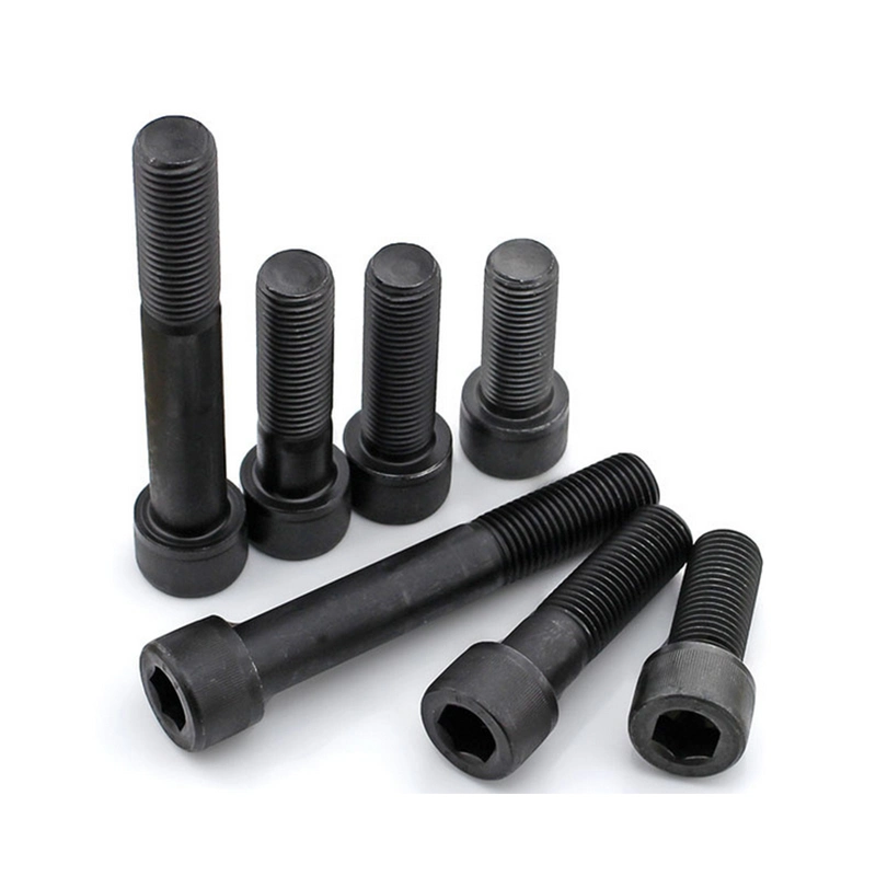 #10 Nylon Patch Black 304 Passivation Round Head Cap Bolt