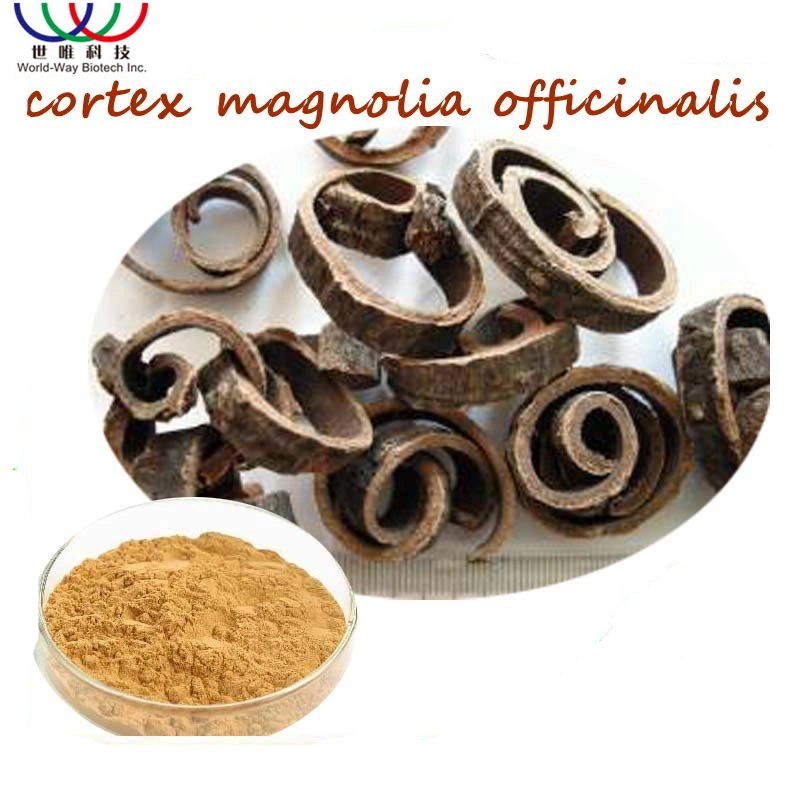 Hot Sale Healthy Food Top Factory Supply Quality Magnolia Officinalis Extract Powder