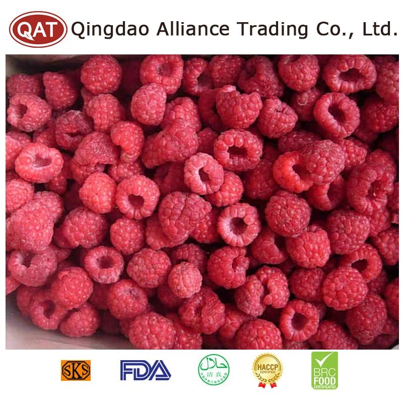 China Organic New Crop IQF Frutas congeladas frambuesa entera con Certificado BRC