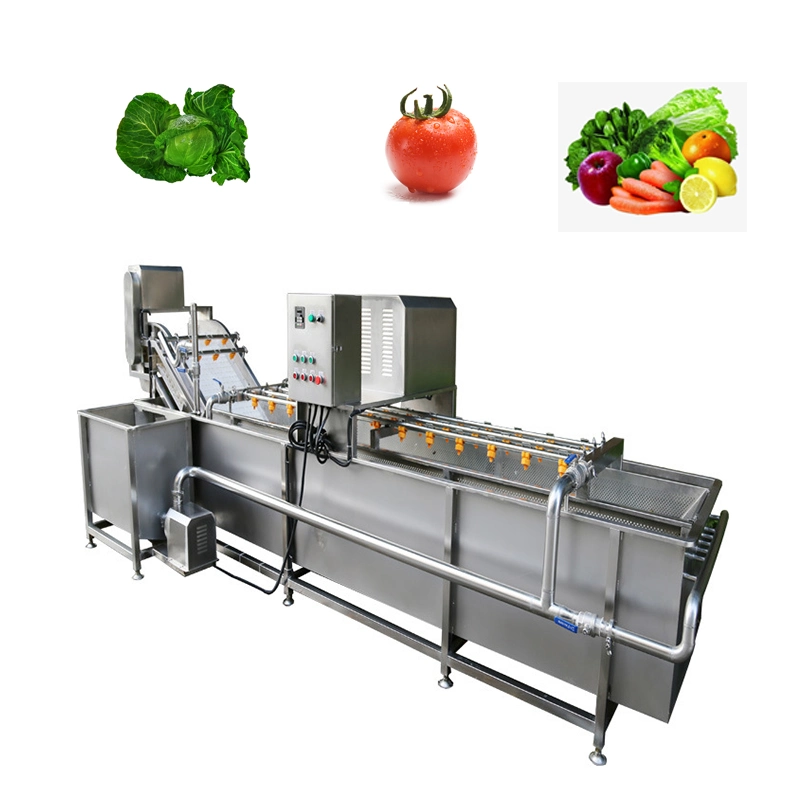 SUS304 Stainless Steel Fruit Washer Vegetable Cleaning Washing Machine