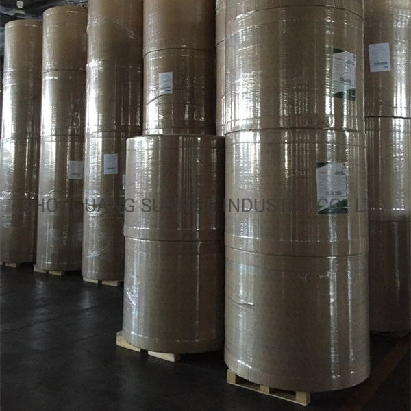 Sun Brand PE Cupstock Paperboard Use for Disposable Paper Cup