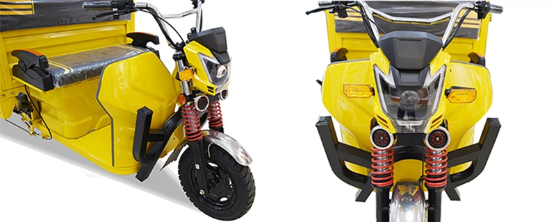 Electric Trike Overseas Market Electric Tricycle with 1000W Motor