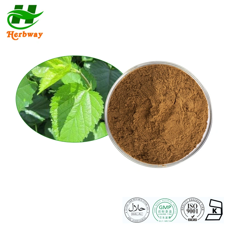 Herbway Herb Extract Health Care Product Mulberry Leaf Powder/Mulberry Extract