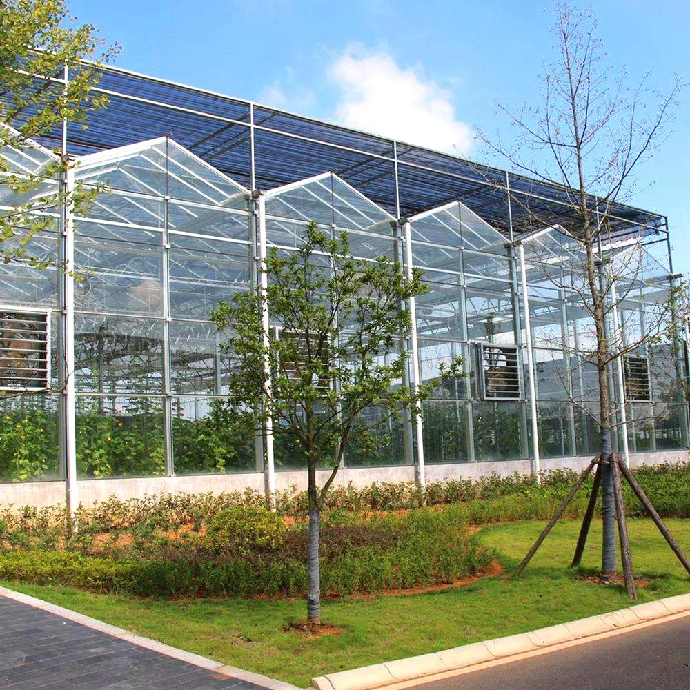 Complete Glass Agricultural Greenhouse Turnkey Project with Quick Construction