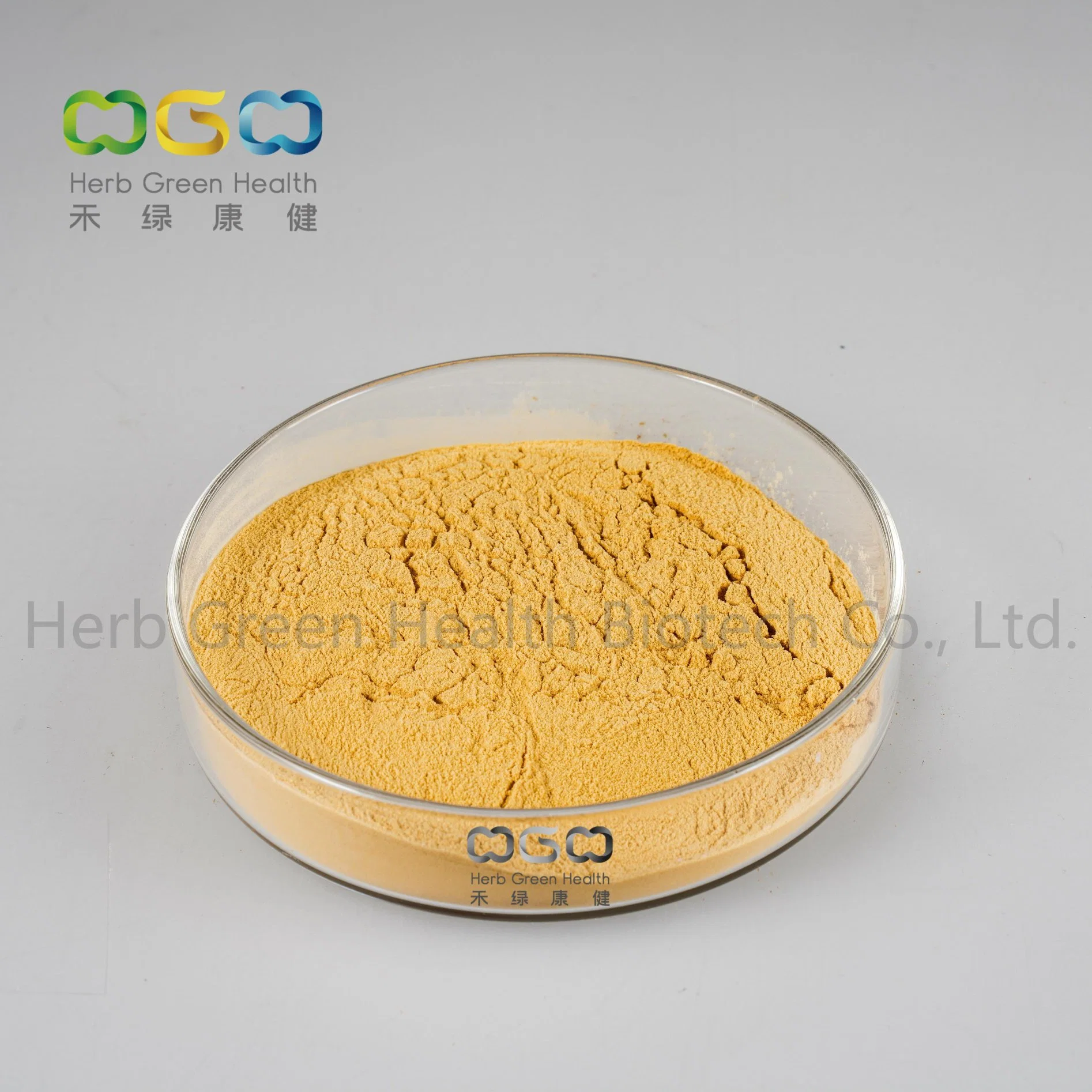 Wholesale/Supplier Herbal Assist in Lowering Blood Sugar Bitter Melon SD Powder