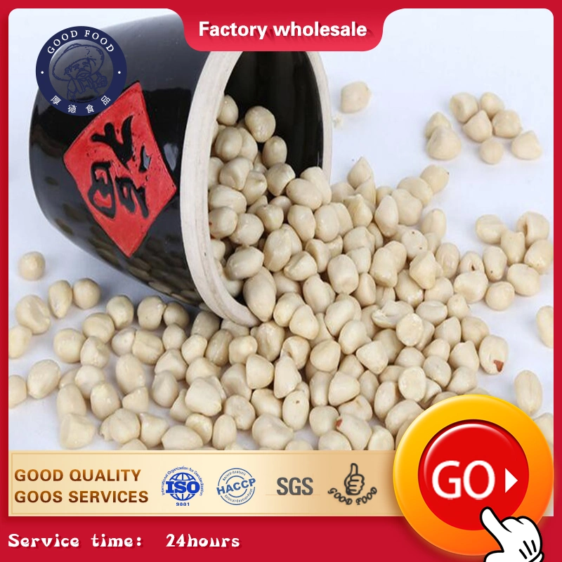 Made in China Supplier of Natural Peanut Blanched Peanut Kernel with Good Price