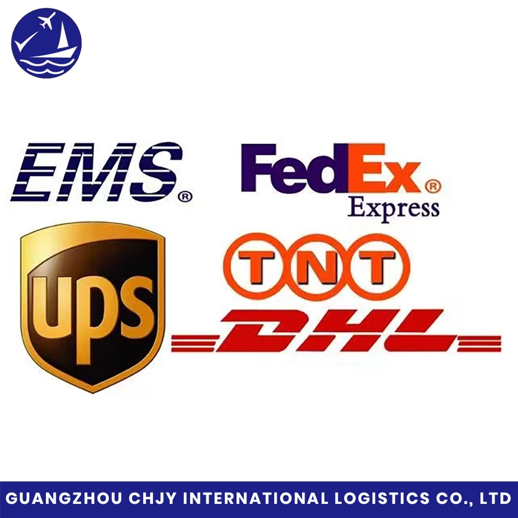 Zuverlässige und professionelle EXW, fob, CIF, DDU, DDP DAP International Shipping Agent aus China zu uns