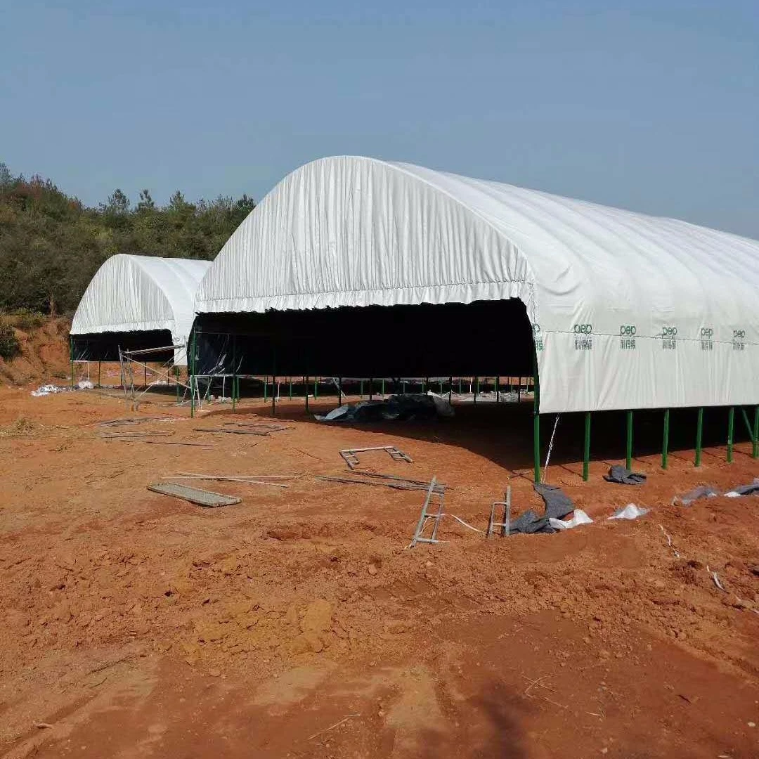 Single Span Greenhouse with Tunnel Type Film Blackout Light Deprivation Greenhouse for Mushroom