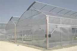 Intelligent Multi Span Poly Carbonate Sheet Greenhouse for Planting