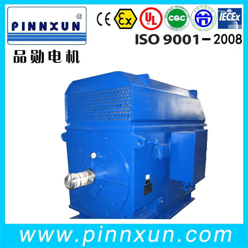 High Voltage Motor Three Phase Induction Blower Axial Fan Water Pump Air Compressor Motor