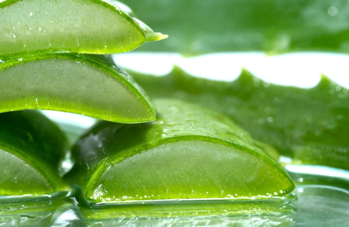 Aloe Vera Gel polvo de secado en frío 100: 1/200: 1 Herbal Natural puro