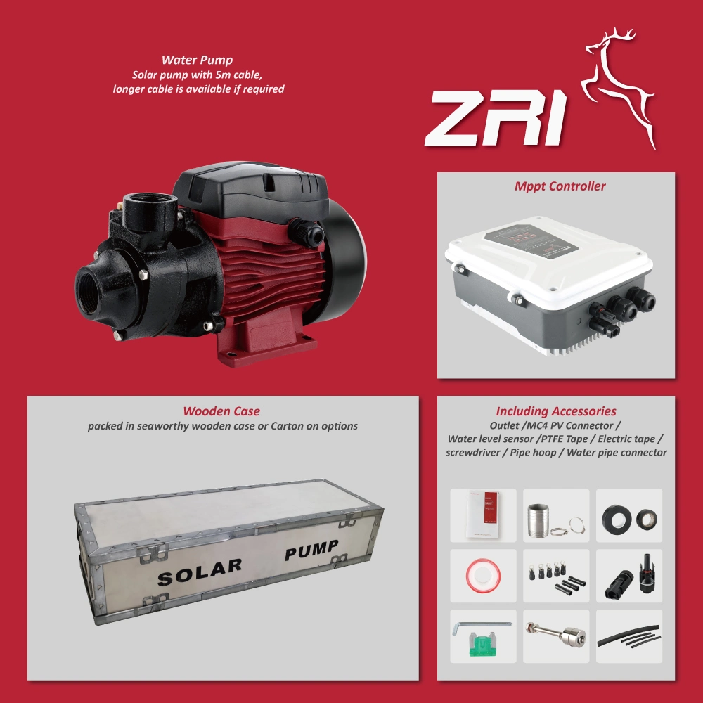 La superficie Solar Zsqb Bomba, 12/24/36/48/72/96V Sistemas de bombeo de agua solar, Motor de CC sin escobillas, con MPPT controlador