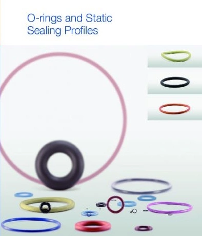 Customized Colorful Industrial FPM Rubber O Ring Seals Oil Seal