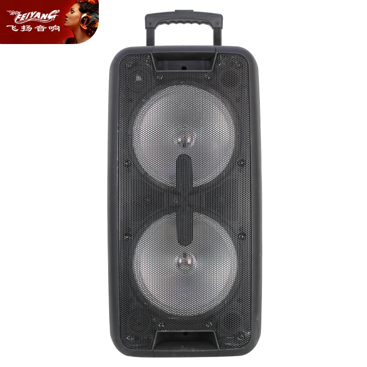 Portable Wireless PA Stereo Active Hot Sale Big Double 10 Inch Audio Loud Speaker System