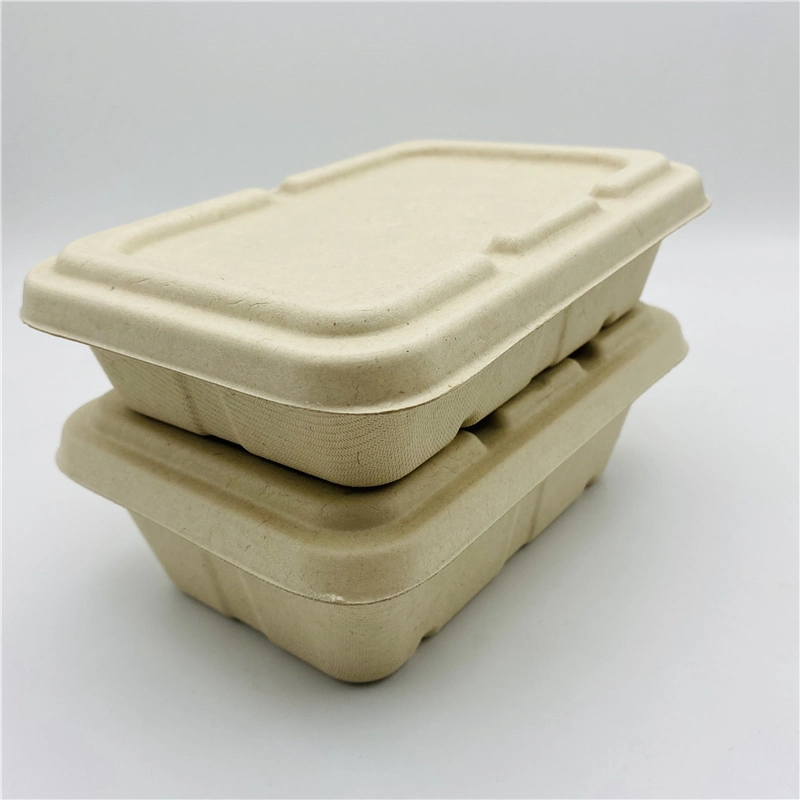 Biodegradable Sugarcane Food Box Clamshell to Go Container with Bagasse Lid /PP Lid/Pet Lid