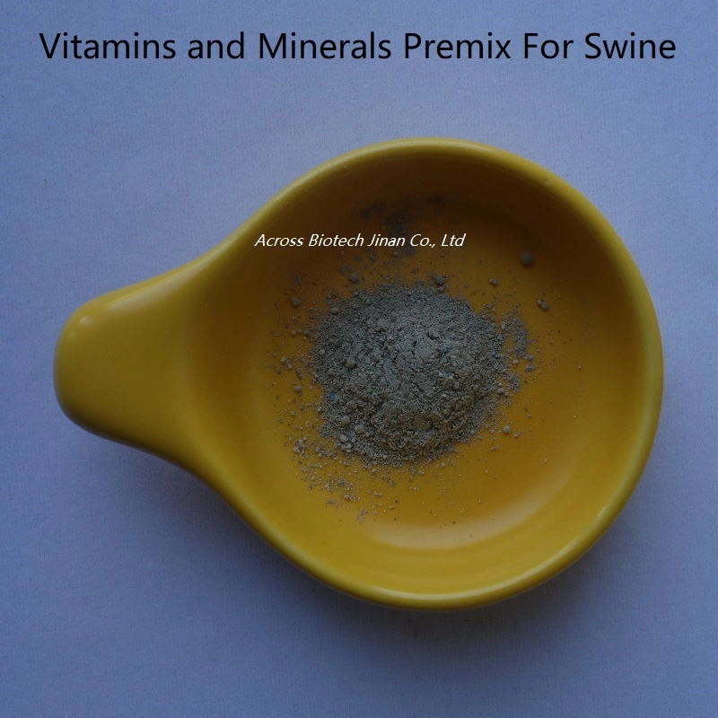 Animal Feed Vitamins and Minerals Custom Premix for Pig/Cow/Dog