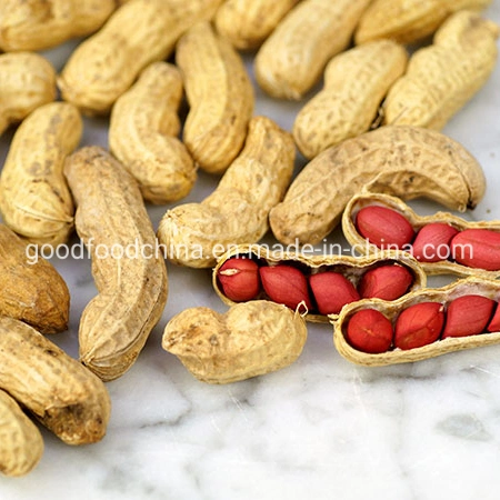 Melhor preço por grosso de amendoim em bruto chinês casca de amendoim do Kernel