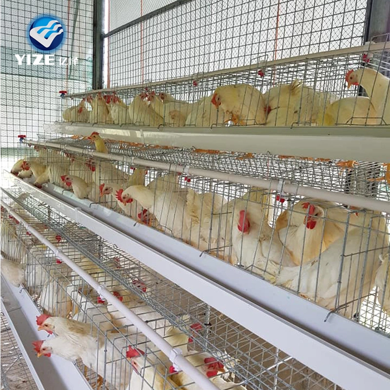 Yize Chicken Layer Cages heißen Verkauf in Ghana mit voll Set Zubehör und automatische Trinkfütterung