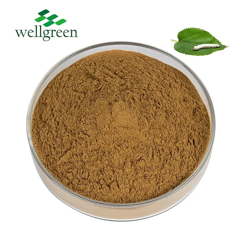 Herbal Extract 100% Natural Freeze Dried Fruit Powder Green Mulberry Leaf Extract Powder