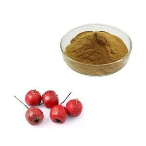 استخراج Hawthorn الفاكهة عالي الجودة استخراج Hawthorn بيري