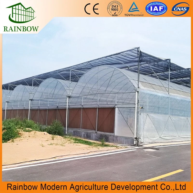 Multi Tunnel Film Greenhouse Flower House