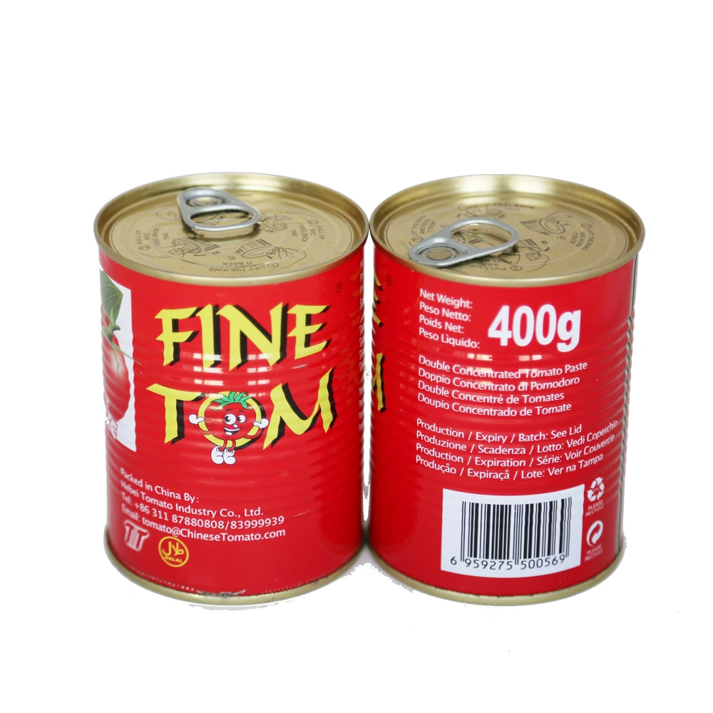 Canned Tomato Paste with Best Price