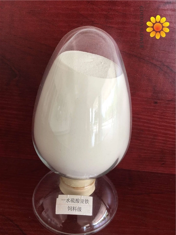 Factory Sales of High-Quality Food Grade 99% Ferrous Sulfate Monohydrate for Additives