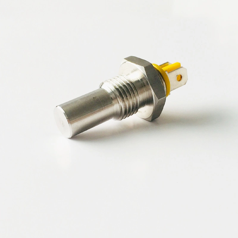 Flexible Custom 1/4 1/8 NPT Thread Screw Mounting Ntc PTC Thermistor Rtd PT100 PT1000 Temperature Sensor with Ss Brass Metal House