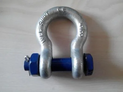 Stainless Steel 304/316 Us Type Bolt Type Anchor Shackle (G2130) with Impregnable