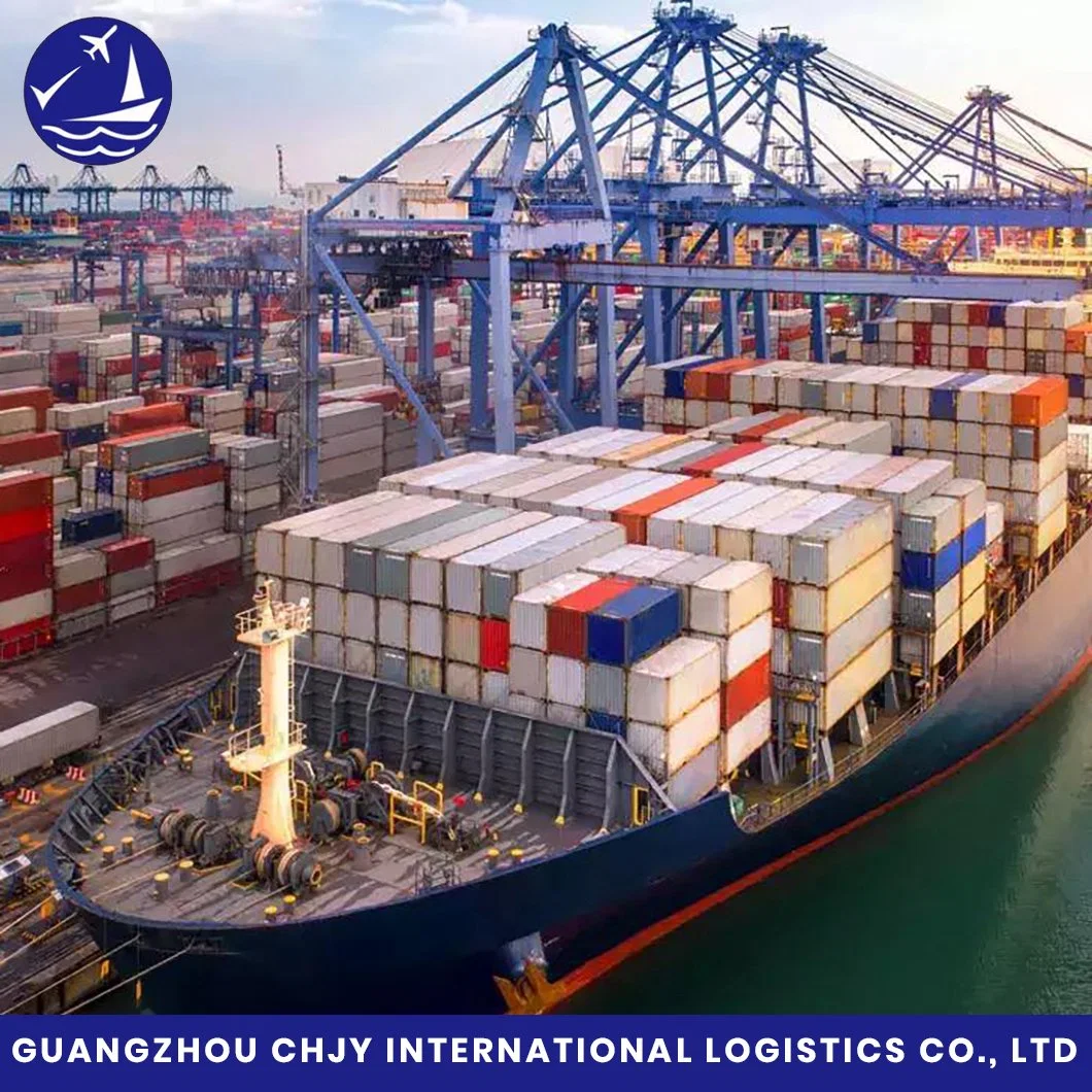 Reliable and Professional EXW, Fob, CIF, DDU, DDP DAP International Shipping From China to Guatemala