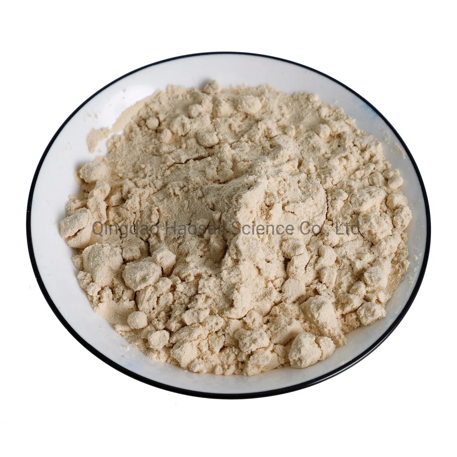 Vegan Protein Organic Protein Powder Rice Protein Powder