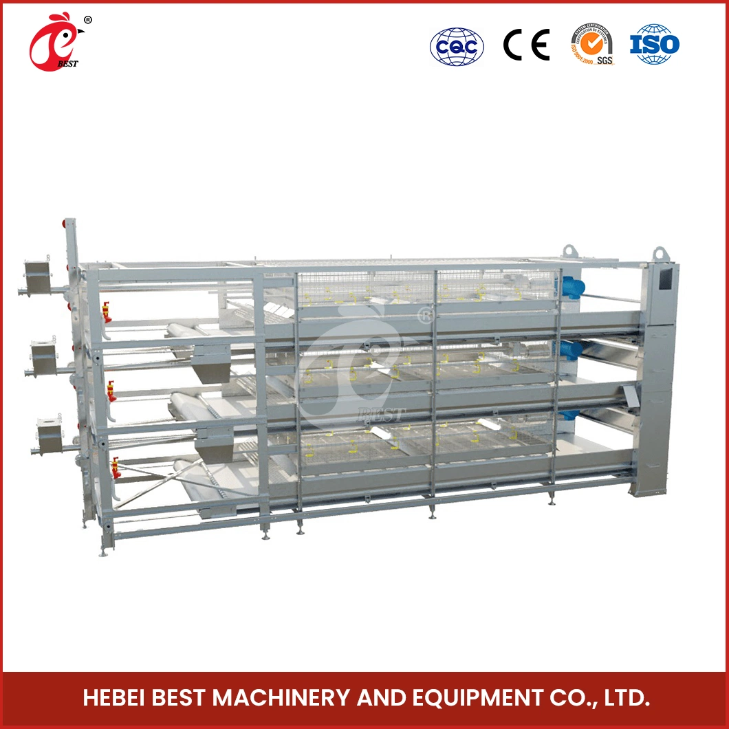 Bestchickencage H Type Small Pullet Cage Breeder Cage China Pullet Cages Used for Chickens Factory High-Quality Felt Material Chicken Pullet Cage Poultry Farm