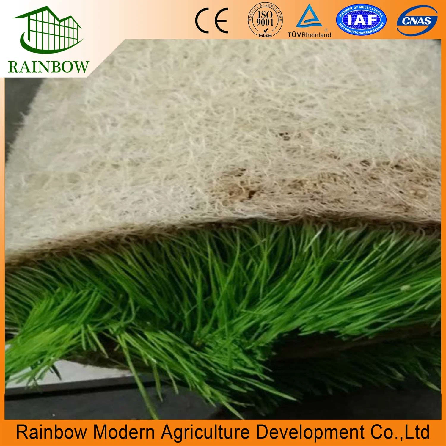 Automatic Hydroponics Fodder Machine Hydroponic Green Forage Sprouted Barley Fodder System