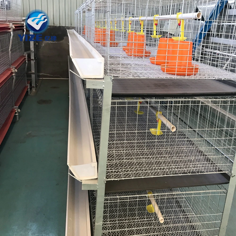 Automatic 4 Tier H Type Broiler Cage in Philippines Battery Chicken Cages for Commercial Broiler