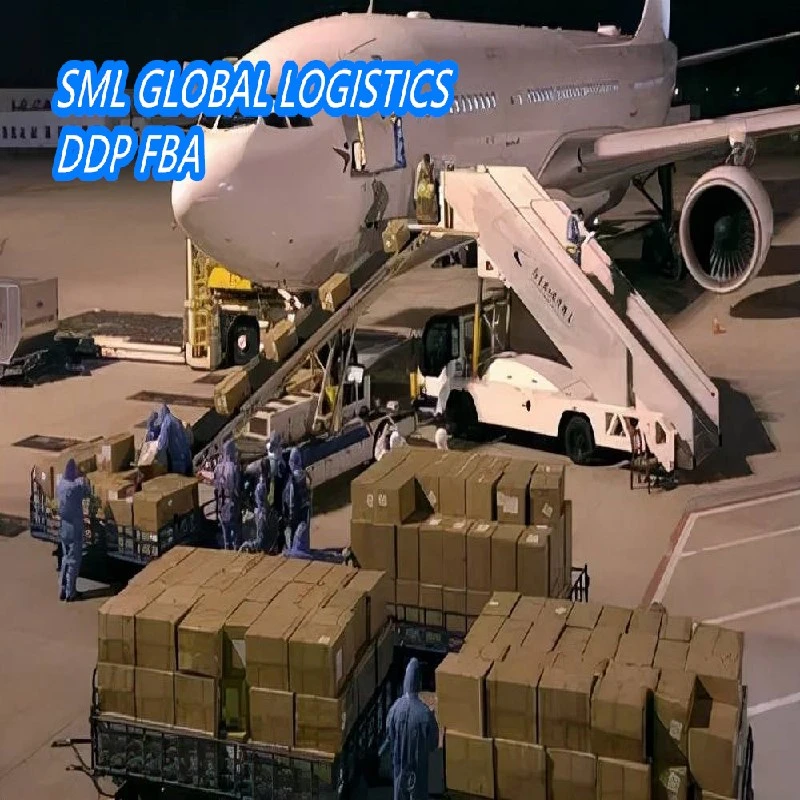 Fast DHL Express Food Shipping Agent Air Shipment Logistic Service From China to Oman/UAE/Saudi Door to Door Fast DHL Express Food Shipping Agent Air Ship