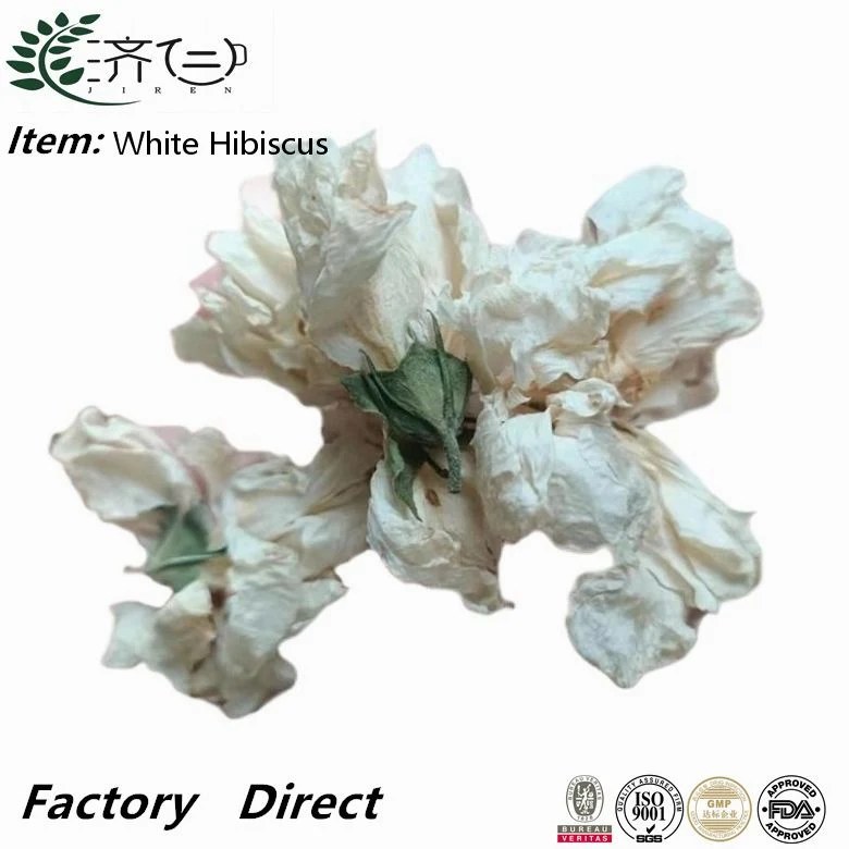 Mu Jin Hua Bulk Dried White Hibiscus Flor Shrubalthea Para el té