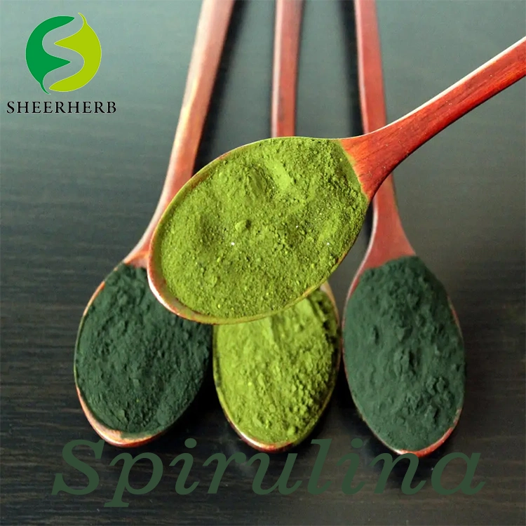 La couleur des aliments naturels Sheerherb fabrique la spiruline phycocyanine Pigment bleu poudre