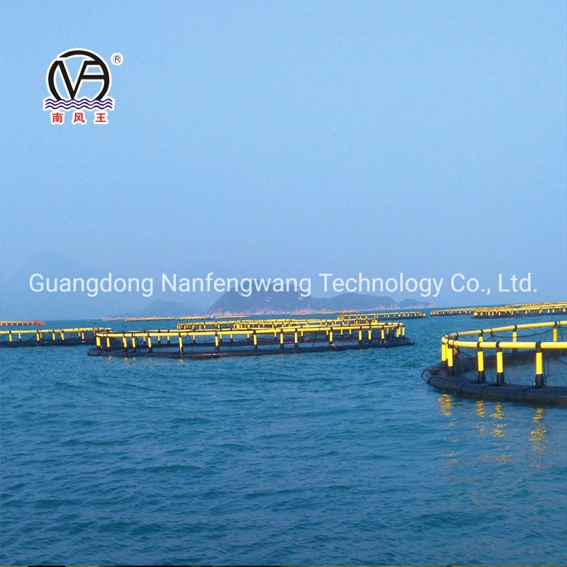 Simple Round Floating Cage Lake Breeding Equipment Manufacturer