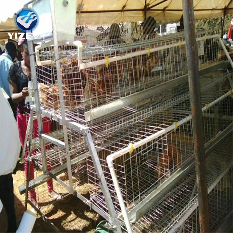 Couche de poule cage de poulet couche d'œuf porte en treillis métallique Poulet Coop