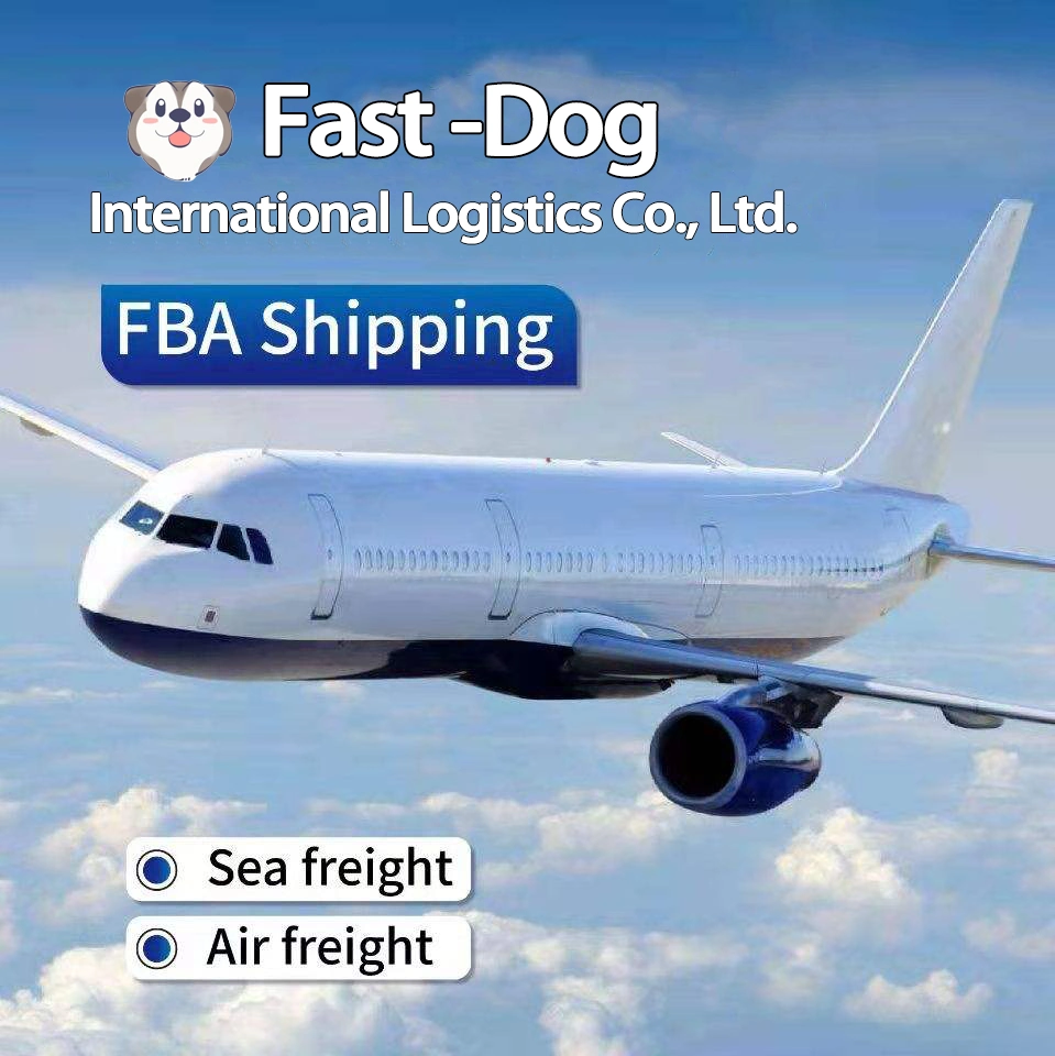 Logística Frete Forwarder para Reino Unido/EUA/Itália/França/Alemanha FBA Amazon by Air Shipping A partir da China DDP Serviço de porta a porta