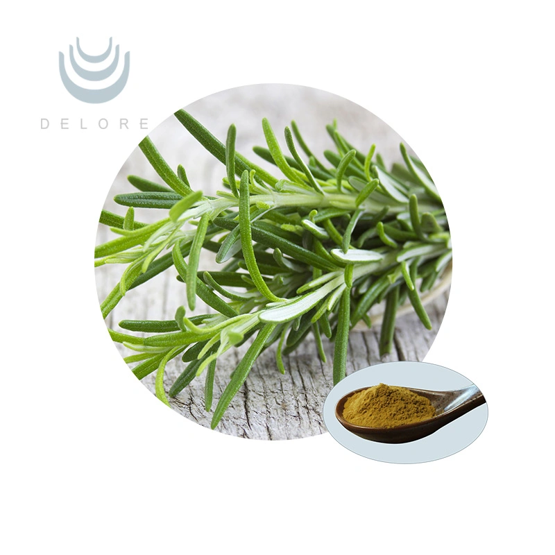 Antioxidants Plant Extract Water Soluble Rosemary Extract Rosmarinic Acid Rosemary Powder Extract