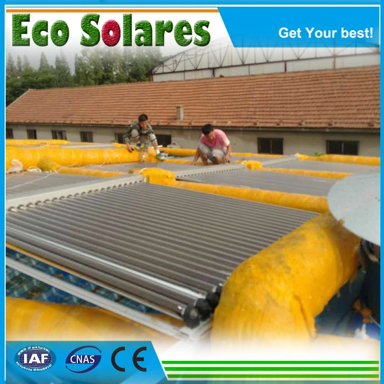 Split Air Heating Solar Collector System for Seafood Drying