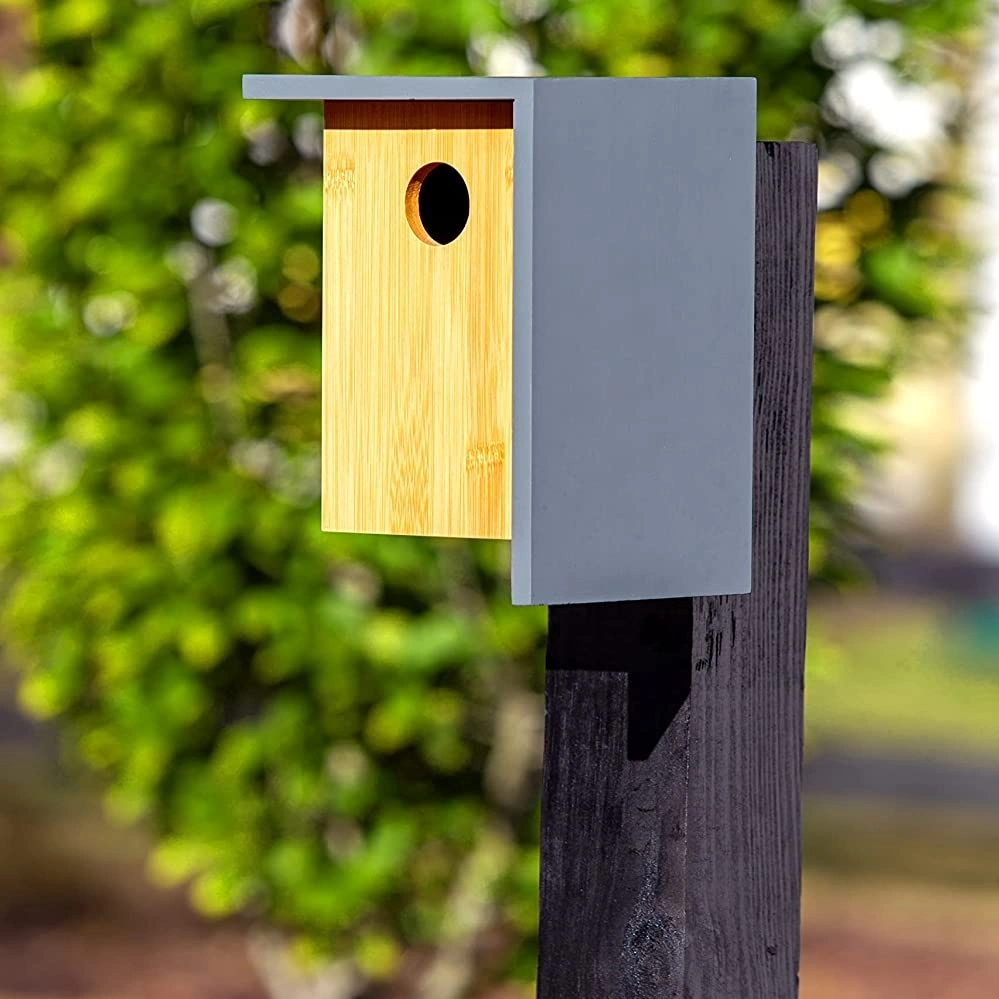 Le design de mode zone de nidification des oiseaux en bois solide la pendaison pour le jardin de la chambre d'oiseaux